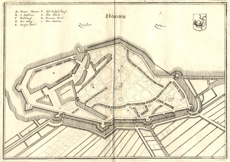 Hoorn by C. Merian