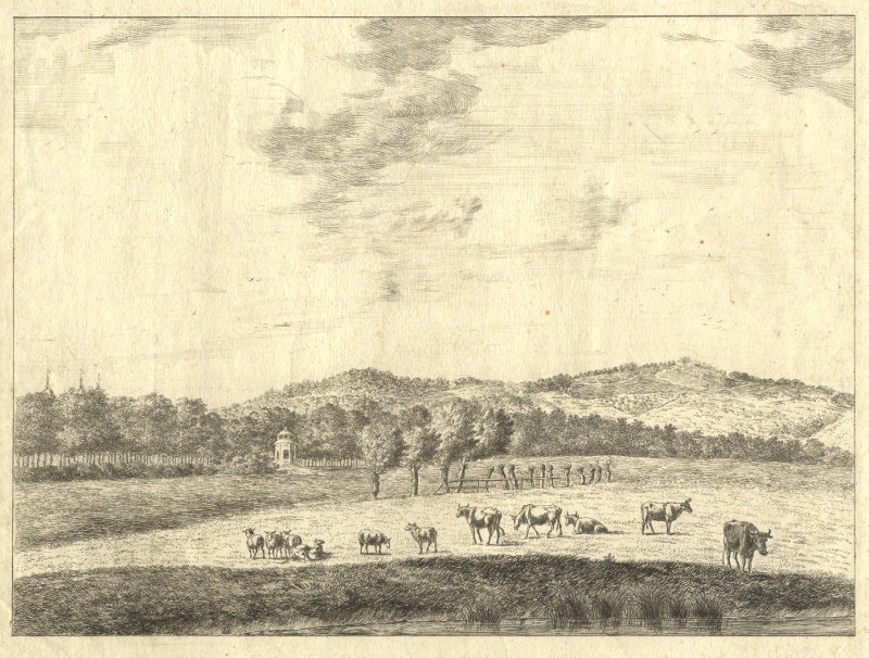 Gezicht op Landschap Biljoen by Christiaan Henning