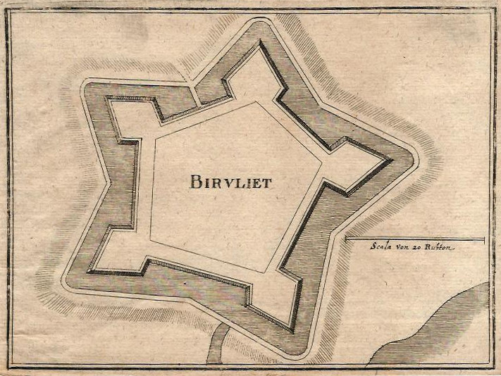 Birvliet by Merian