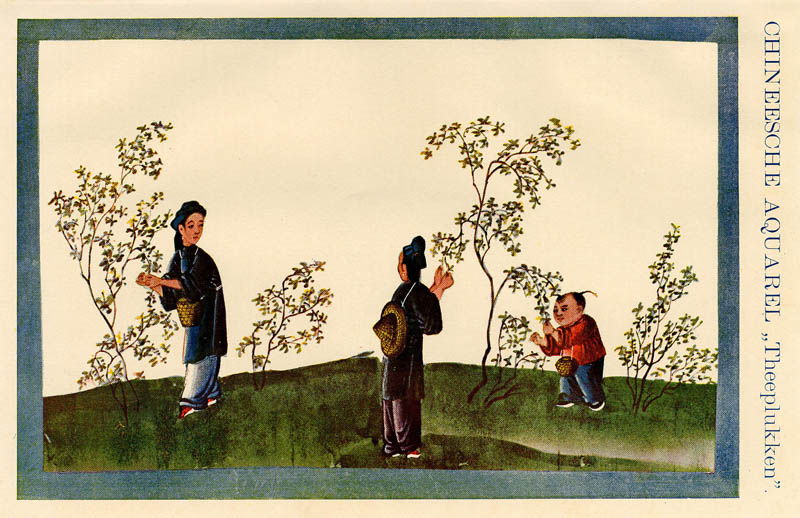 Chineesche aquarel "Theeplukken" by Winkler Prins