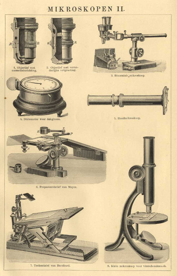 print Mikroskopen II by Winkler Prins