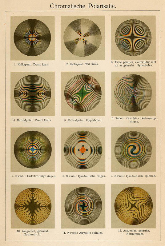 print Chromatische polarisatie by Winkler Prins