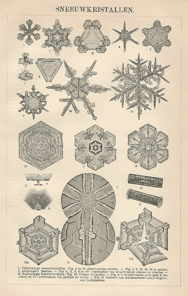 print Sneeuwkristallen by Winkler Prins