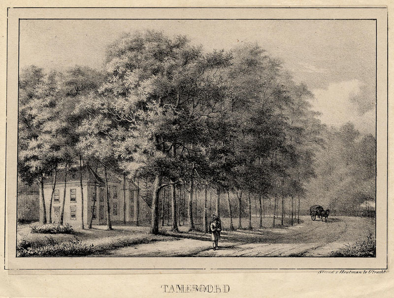 Tameroord by T. Soeterik