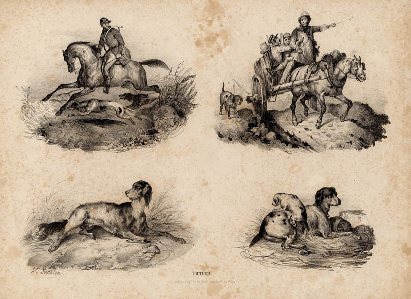 Ruiter, paard en wagen, (jacht-) honden by V Straaten