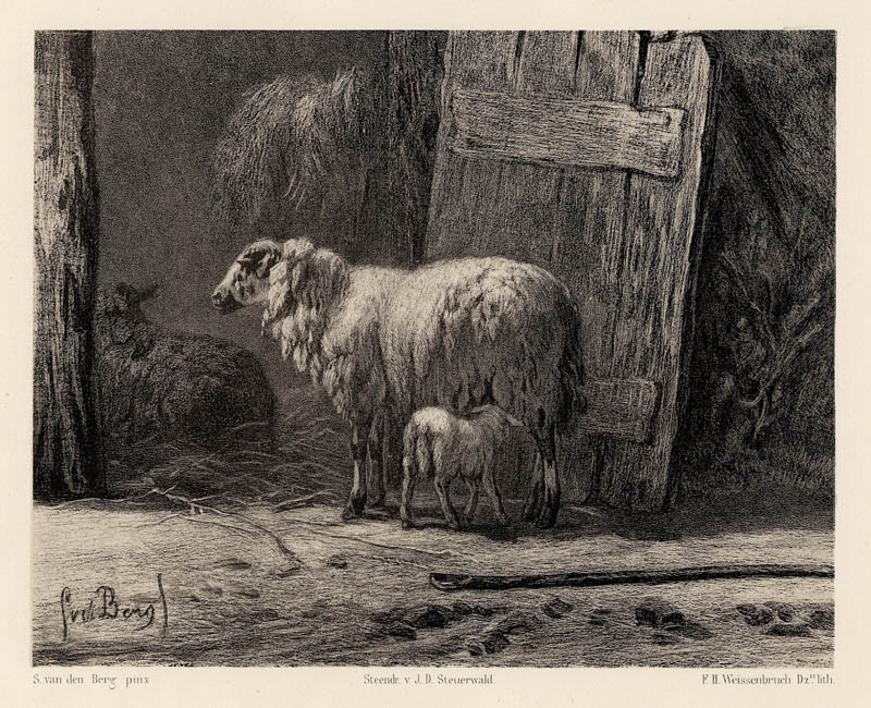 Schapen in de stal by F.H. Weissenbruch naar S. van den Berg