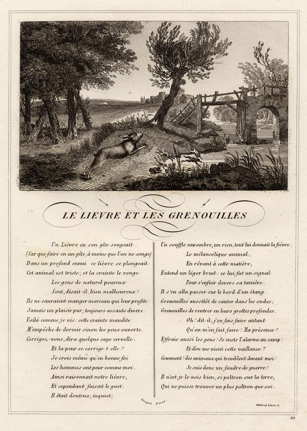 print Le livre et les grenouilles by nn