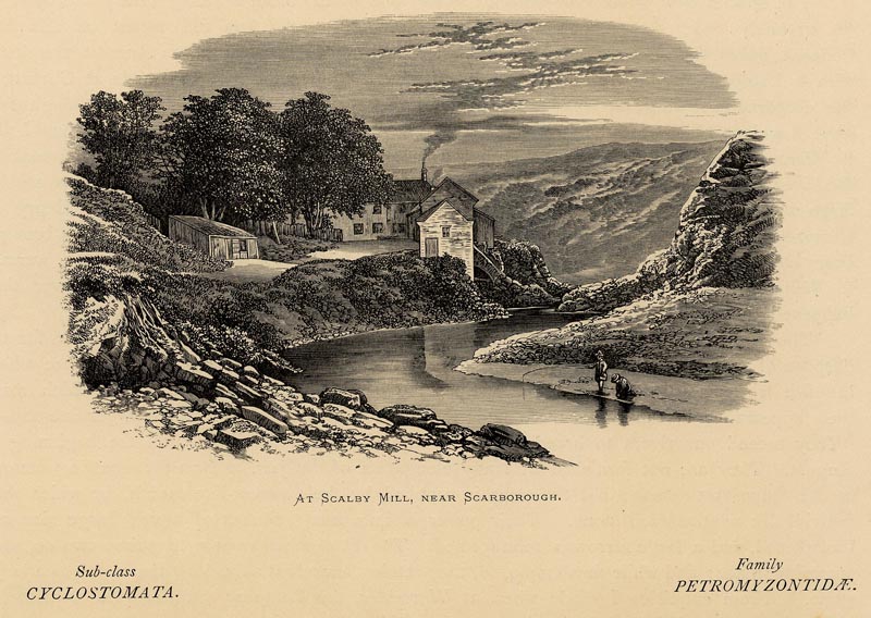 At Scalby Mill, near Scarborough by Benjamin Fawcett, naar A.F. Lydon