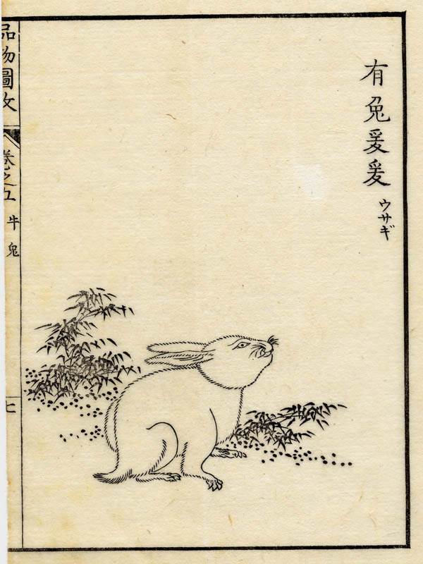 print Boek der Liederen / Mao shi pin wu tu kao, konijn by nn