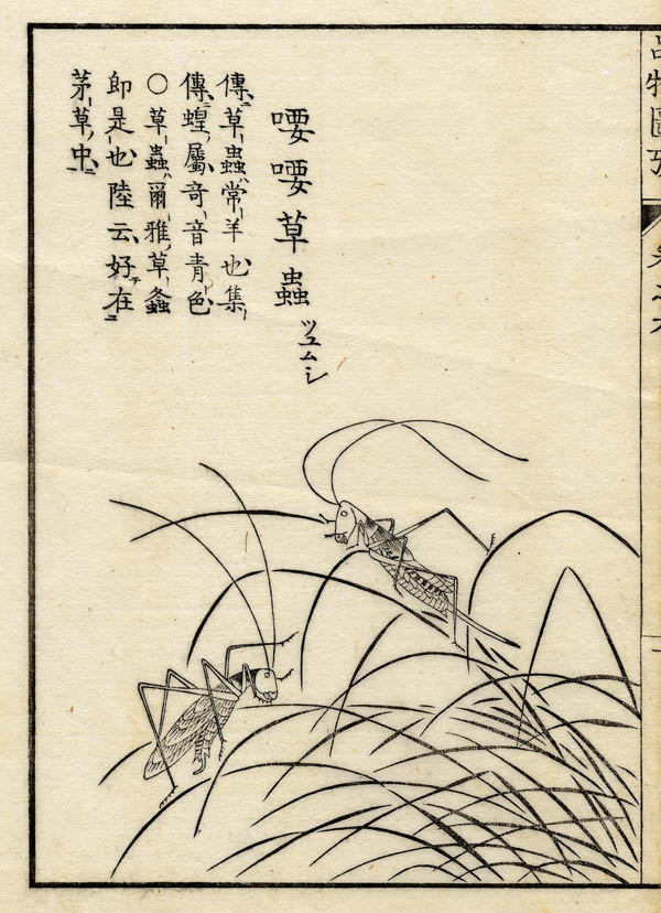 print Boek der Liederen / Mao shi pin wu tu kao, krekel by nn