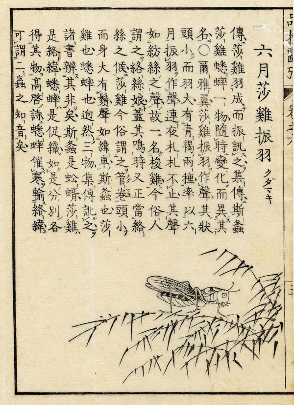 print Boek der Liederen / Mao shi pin wu tu kao, insect by nn