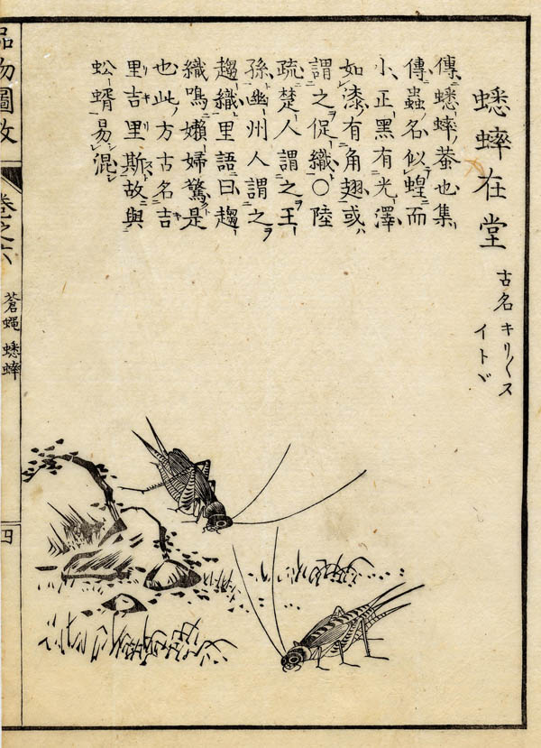 print Boek der Liederen / Mao shi pin wu tu kao, krekels by nn