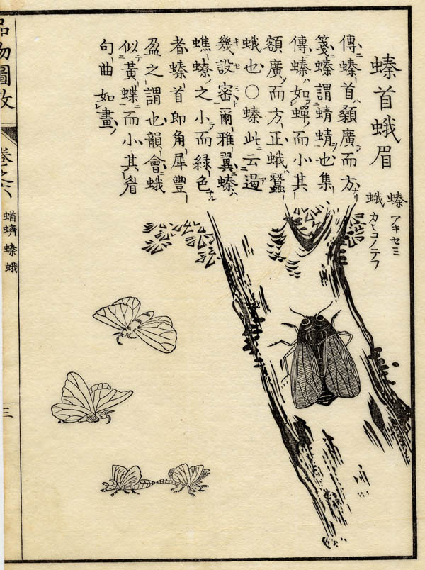 print Boek der Liederen / Mao shi pin wu tu kao, tor by nn