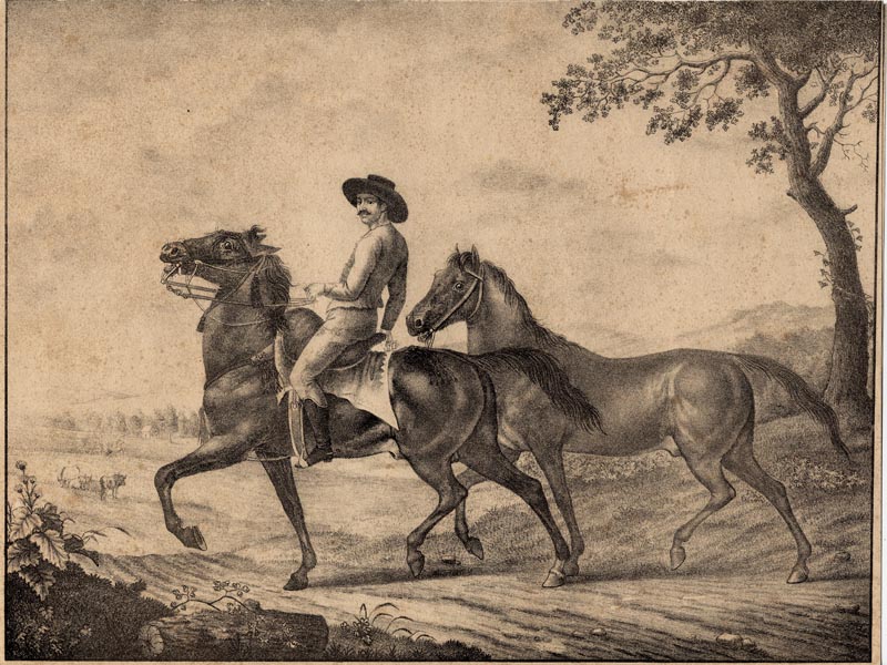 Twee paarden by J. Susenbeth (mogelijk)