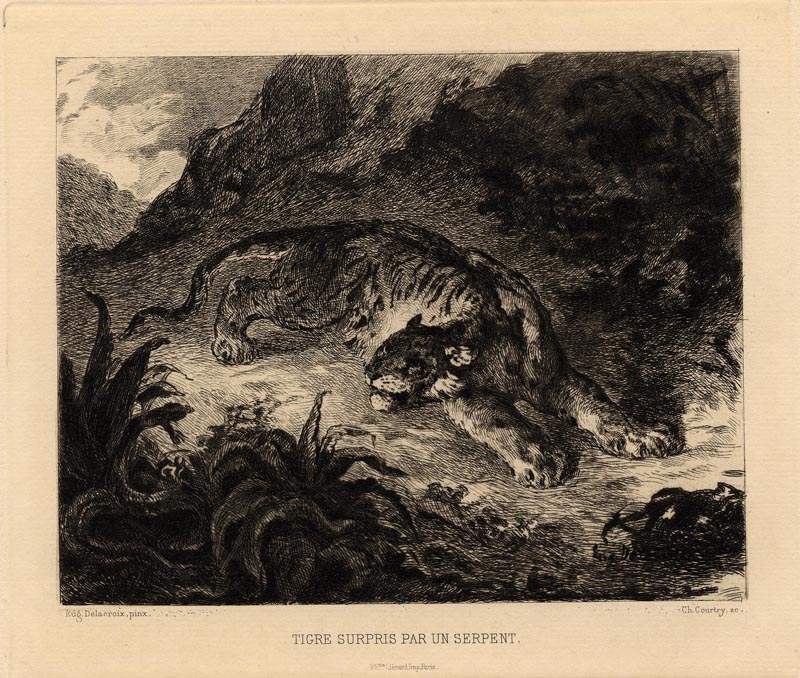 Tigre surpris par un serpent (Tijger, verrast door een slang) by Charles Jean Louis Courtry, naar Eugène Delacroix