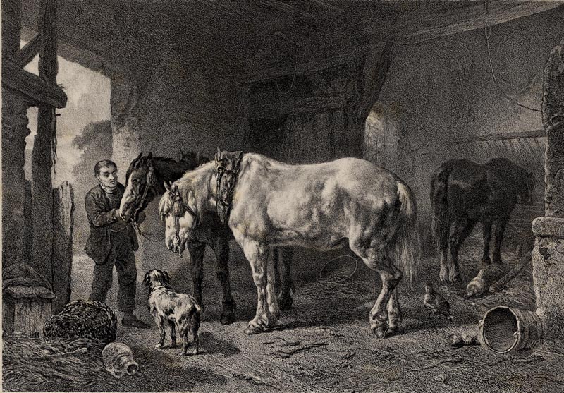 Paarden in de stal by W. Verschoor