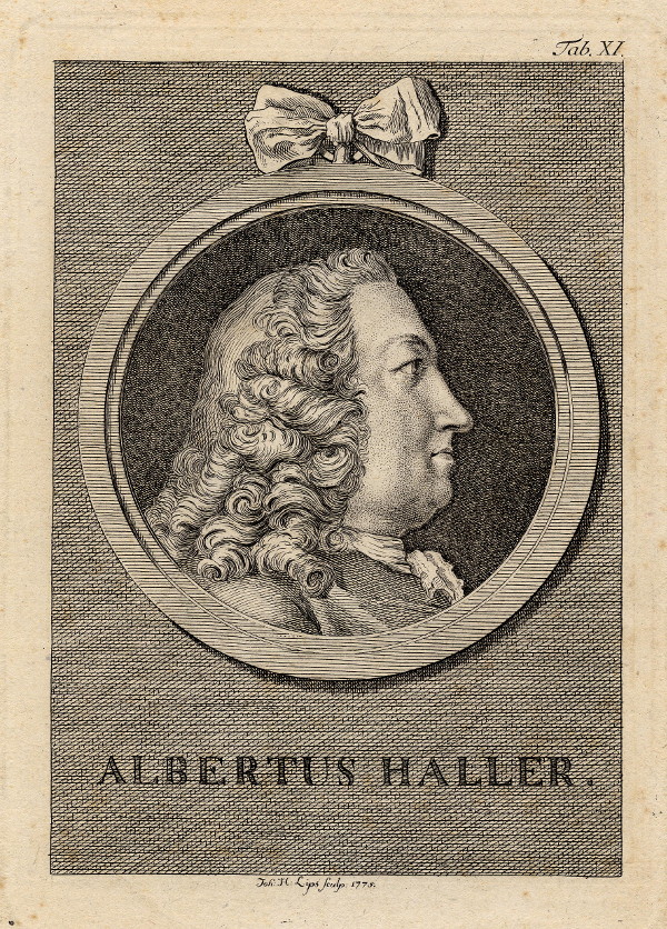 print Albertus Haller by Joh. H. Lips