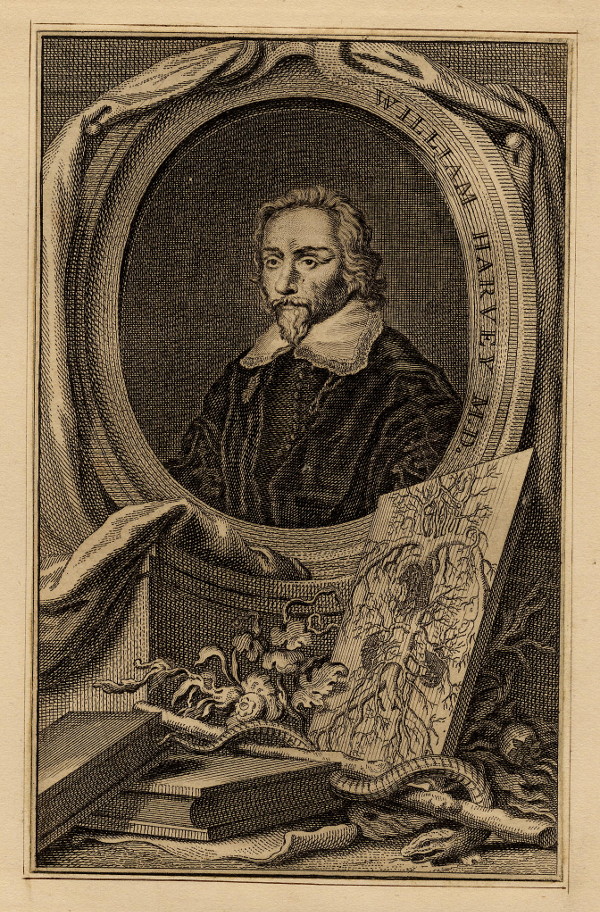 print William Harvey M.D.  by Wilhelm von Bemmel