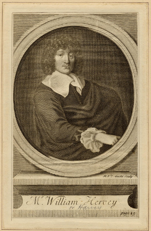 print Mr. William Hervey by Michael van der Gucht