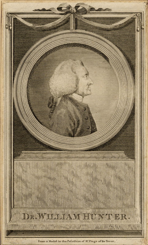 print Dr. William Hunter, from a model in the possession of Mr. Pingo of the Tower by nn