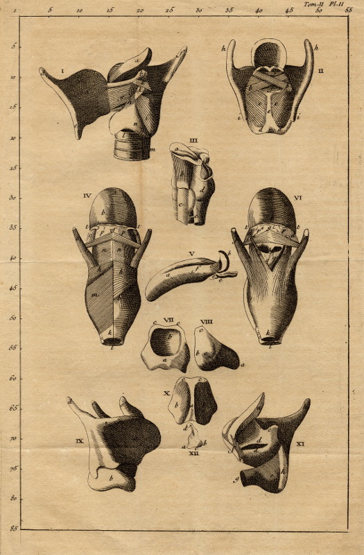 print Anatomische prent by nn