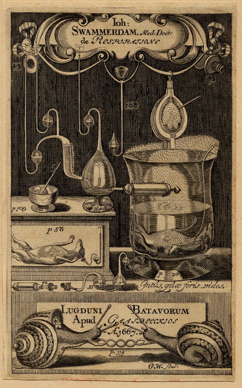 print Joh. Swammerdam, Med. Doct. de respiratione by nn