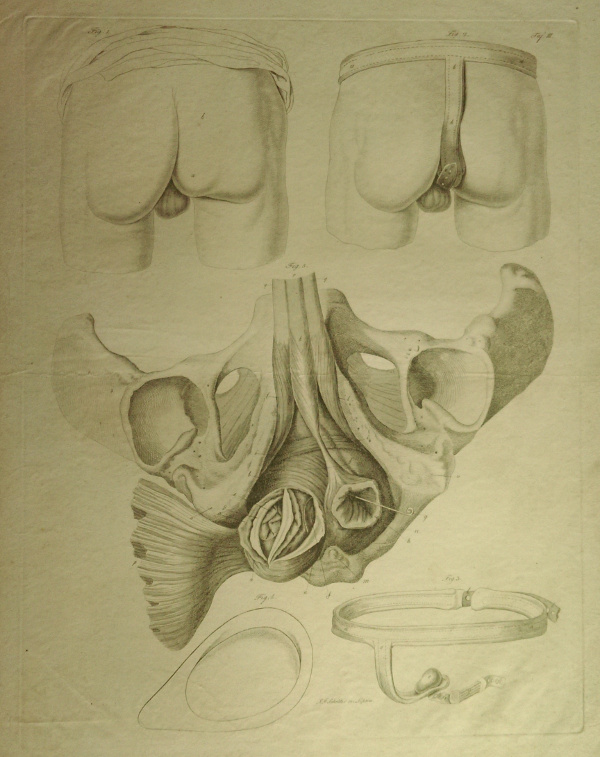 print Anatomische prent by Johann Friedrich Schröter