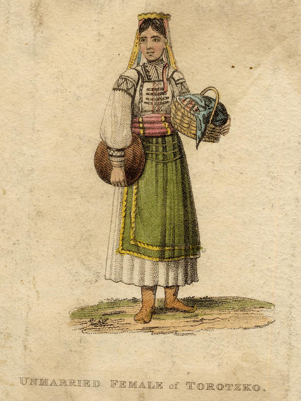 Unmarried female of Torotzko by nn