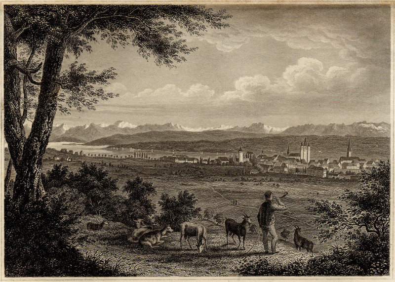 Constanz und das Panorama der Alpen by nn