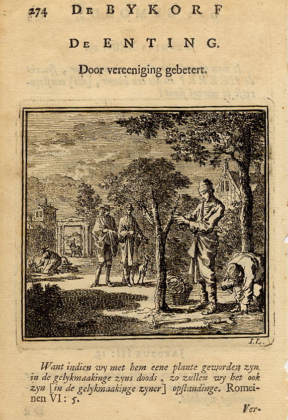 print De Enting. Door vereeniging gebetert. by Jan Luyken