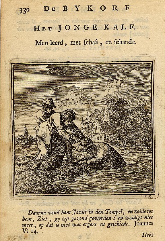 print Het Jonge Kalf. Men leerd, met schaâ, en schande. by Jan Luyken