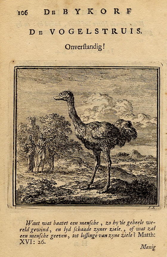 print De Vogelstruis by Jan Luyken