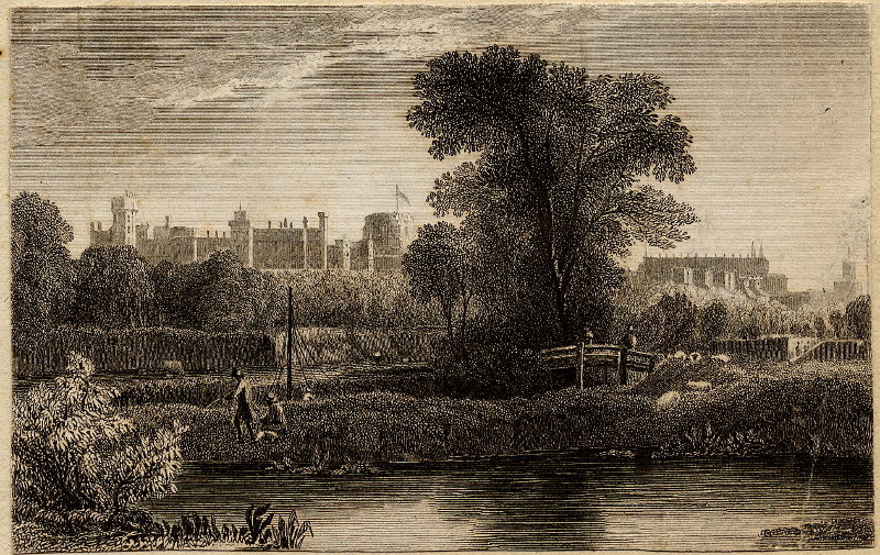 Windsor castle by nn
