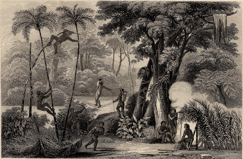 Urwald in Brasilien (Lager einer Indianerfamilie) by A.H. Payne