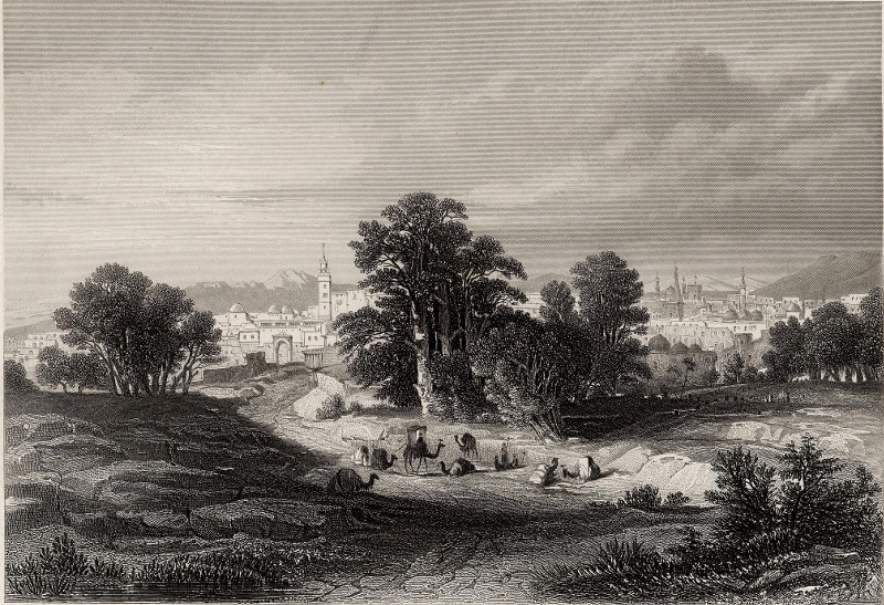 Damascus, (vom Palmyra - Thore aus) by F.A. Geyer, A.H. Payne