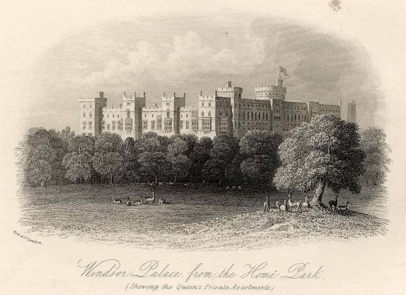 Windsor Palace, from the Home Park. (Showing the Queen´s Private Apartments) by William & Henry Rock