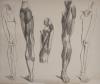 small image of the print Botten en spieren van het menselijk been thmbnail of Botten en spieren van het menselijk been