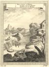 gravure Pont de Liane, ou Bejuques; Tarabite pour les Animaux, Tarabite pour les Hommes