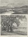 small image of the map Le mont Errigal / Le Lough Swilly thmbnail of Le mont Errigal / Le Lough Swilly