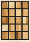 small image of the print Radial Sections of Tropical Woods thmbnail of Radial Sections of Tropical Woods