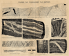 small image of the print Wijzen van voorkomen van Ertsen thmbnail of Wijzen van voorkomen van Ertsen