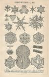 small image of the print Sneeuwkristallen thmbnail of Sneeuwkristallen