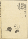 thmbnail of Boek der Liederen / Mao shi pin wu tu kao, ratten