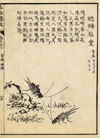 thmbnail of Boek der Liederen / Mao shi pin wu tu kao, krekels