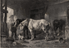 thmbnail of Paarden in de stal