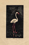 thmbnail of Flamingo