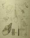 small image of the print Anatomische prent van mannelijk geslachtsorgaan thmbnail of Anatomische prent van mannelijk geslachtsorgaan