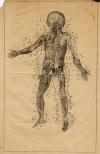small image of the print Anatomische prent van een kind thmbnail of Anatomische prent van een kind