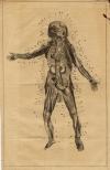 small image of the print Anatomische prent van een kind thmbnail of Anatomische prent van een kind